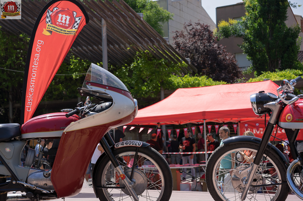 f_m_terrassa_amcm_22_066
